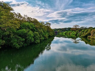 A tranquil pond surrounded by lush greenery, with plants and trees reflecting beautifully on the calm water. The sky above is clear and shiny, its vibrant blue hue mirrored on the pond's surface. 