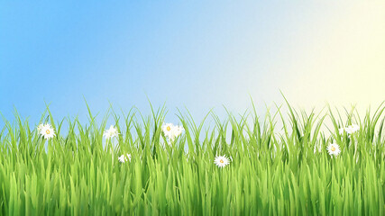 Fototapeta premium green grass and sky
