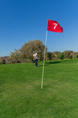 Obraz premium vertical golf ball heading toward hole on green with senior golfer practicing in background