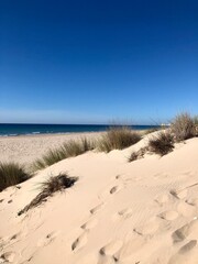 Dünenlandschaft am Playa de la Cortadura in Cadiz, Spanien  © Nina