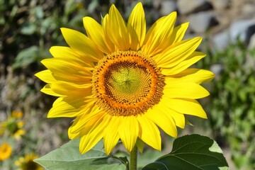 Fototapeta premium The silver bricks remind me of the colors of the late hours of the day. The cosmos is all wavy and bright.