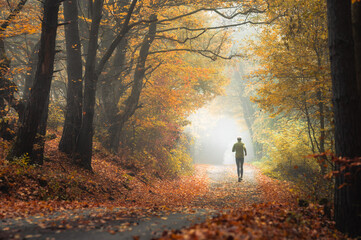 Runner in Autumn Nature. Man train in nature under orange trees. Morning Run in Fall and Winter Time. Motivation photo for active people © kovop58