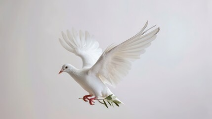 Fototapeta premium Elegant Christmas greeting card with a white dove carrying an olive branch, set against a simple white background.
