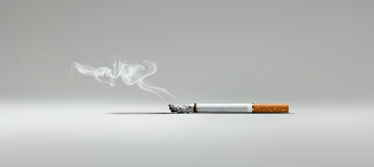 Fototapeta premium Minimalist Anti-Smoking Poster Design Featuring Extinguished Cigarette and Smoke Trail