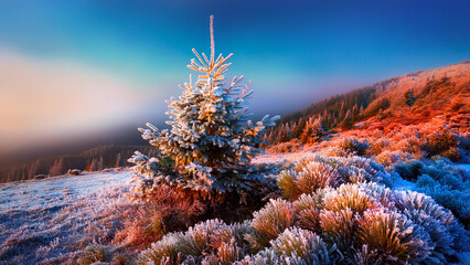 sunset in the mountains