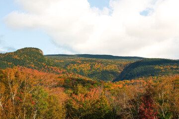 View of Autumn Color From Artist Bluff in New Hampshire's Franconia Notch