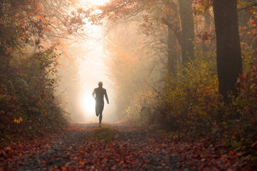 Solitary Runner Embracing the Tranquility of Autumn Nature