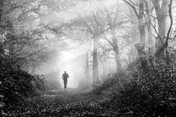 Black and White photo. Runner Gliding Through a Colorful Autumn Alley of Trees in Gentle Morning Fog, Embraced by Golden and Red Leaves