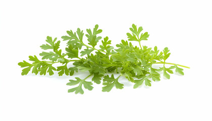 Obraz premium Fresh sprig of aromatic herb, bright green leaves, isolated on white background. Perfect for culinary, herbal, or health-related projects.