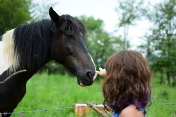 girl and horse