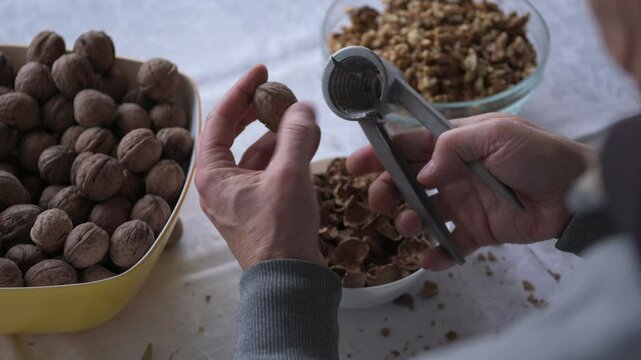 Cracking and extracting a walnut kernel with a steel nutcracker by squeezing the handles with male hands.