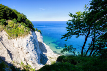 Summer at the White Cliffs of Møns Klint in the Danish Part of the Baltic Sea