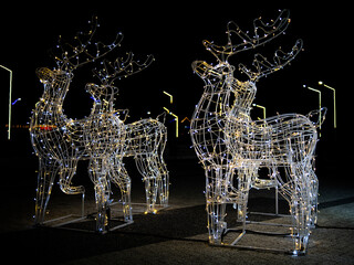 Two large wire-frame reindeer, adorned with warm white lights, are positioned outdoors at night. They appear to be part of a holiday display in a public space, likely a park or plaza.