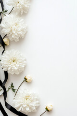White chrysanthemums or daisies with black ribbon on white background. Template vertical funeral mourner symbol, for obituary, farewell services, condolences and funeral invitation with space for text