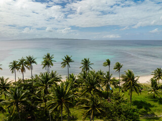Coconut trees in tropical beach and turquoise sea water in Santa Fe, Tablas, Romblon. Philippines.