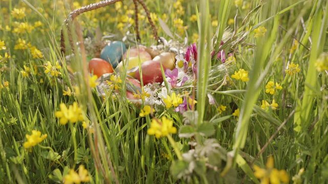 Close-Up of a Basket Brimming with Colorful Easter Eggs and Fresh Flowers, Resting in a Field of Yellow Blossoms. Slow motion.