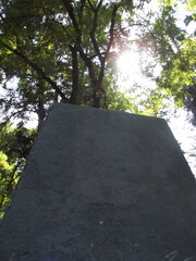 stone pillars over the forest Pilares de piedra sobre el bosque&nbsp;,(10682)