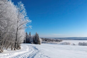Snowy landscape with endless blue sky and silvery trees stretching into the distance, winter wonderland, winter, snow-covered, mountains