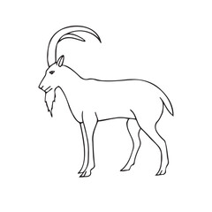 Obraz premium Vector hand drawn sketch doodle outline wild goat isolated on white background