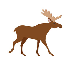 Vector flat hand drawn moose isolated on white background