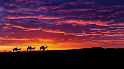 Fototapeta premium ARRAKESH - Marrakesh - MOROCCO - 10-20-2023: Silhouettes of camels at sunset in the Agafay desert, Morocco.