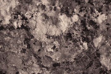 sepia brown stone wall texture structure grain pattern backdrop