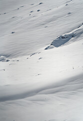 Obraz premium Pristine Snow Landscape with Subtle Shadows 