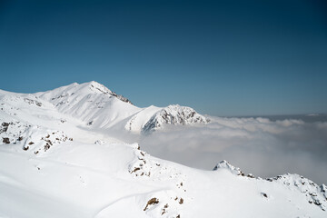 Snow-Capped Peaks Above the Clouds