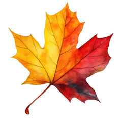A vibrant maple leaf showcasing a gradient of yellow to red hues.