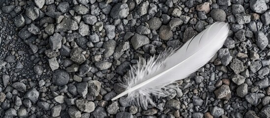 Bird Feather on Crushed Stone and Sand Background