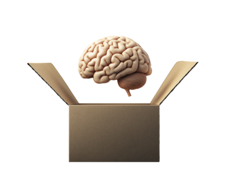 Human Brain in Open Cardboard Box Concept of Ideas Intelligence and Thinking outside the Box Isolated on Transparent Background
