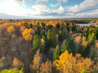 Fototapeta premium Breathtaking view of autumn november forest, background wallpaper - aerial drone shooting, Finland nature