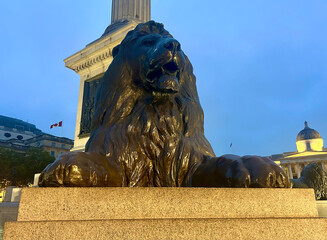 london, londonian, Trafalgar Square, Trafalgar, Square, Nelson's Column, Admiral Nelson, Nelson,...