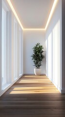 Obraz premium Sunlit minimalist hallway with hardwood floor, potted plant, and recessed lighting.