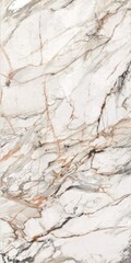 emperador statuarietto quartzite, polished carrara statuario marble texture, calacatta glossy...