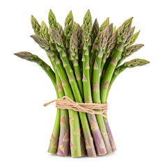 A bundle of fresh asparagus spears tied with twine, isolated on a white background