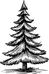 Fototapeta premium Simple black and white pine tree illustration