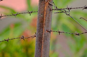 a stretch of barbed wire and iron poles with blurred foliage in the background.