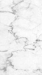 Obraz premium Marble granite white background wall surface black pattern graphic abstract light elegant gray for do floor ceramic counter texture stone slab smooth tile silver natural for interior decoration.