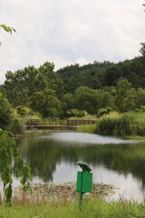 풍경, 시골, 거울, 공원, 강, 풍경, 자연, 휴일, 자유, 여행, 관광, 힐링, 산책, 길, 대한민국, 물고기, 평화, 하늘, 식물원, 식물, 풀, 초록색, 푸릇, 