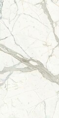 Fototapeta premium italian white marble texture,White marble with golden veins,ceramic marble design