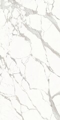 Fototapeta premium italian white marble texture,White marble with golden veins,ceramic marble design