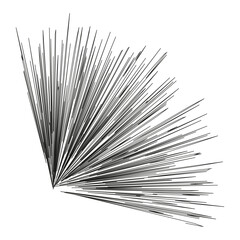 Obraz premium Fan of lines. Geometric abstract vector. Radiating black and white. Symmetrical pattern icon.