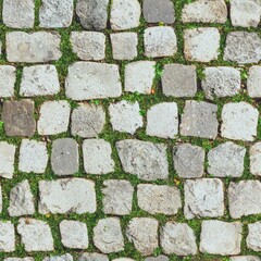 Stone path with green grass between stones.