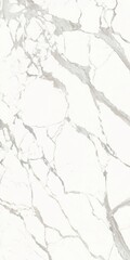 Obraz premium Wall and floor tiles and marble modern designs decor seamless texture for beatiful home interior scene and designs