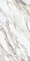 Obraz premium Wall and floor tiles and marble modern designs decor seamless texture for beatiful home interior scene and designs
