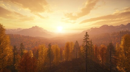 Golden Sunset Over Mountain Forest