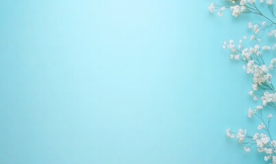 Delicate white baby's breath flowers on a light blue background, creating a minimalist floral border with copy space.