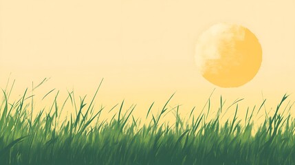 Fototapeta premium Green Grass Field Under A Yellow Sun