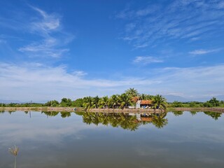Fototapeta premium Reflection of the house and coconut trees below the lake, peaceful scene in the Vietnam countryside